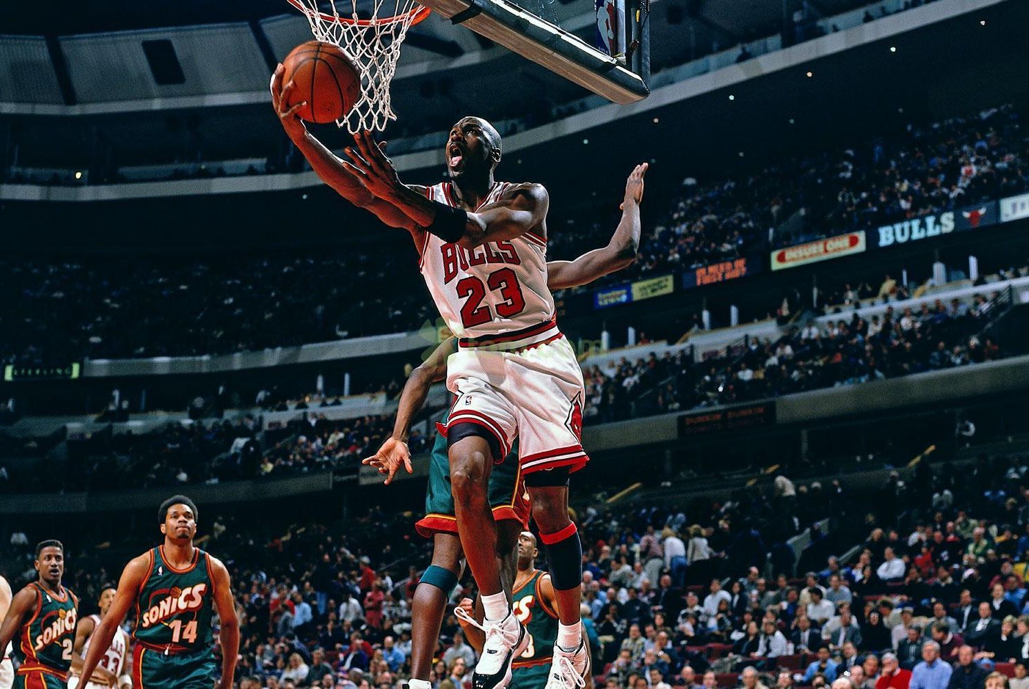 3日报到集 3日报到集