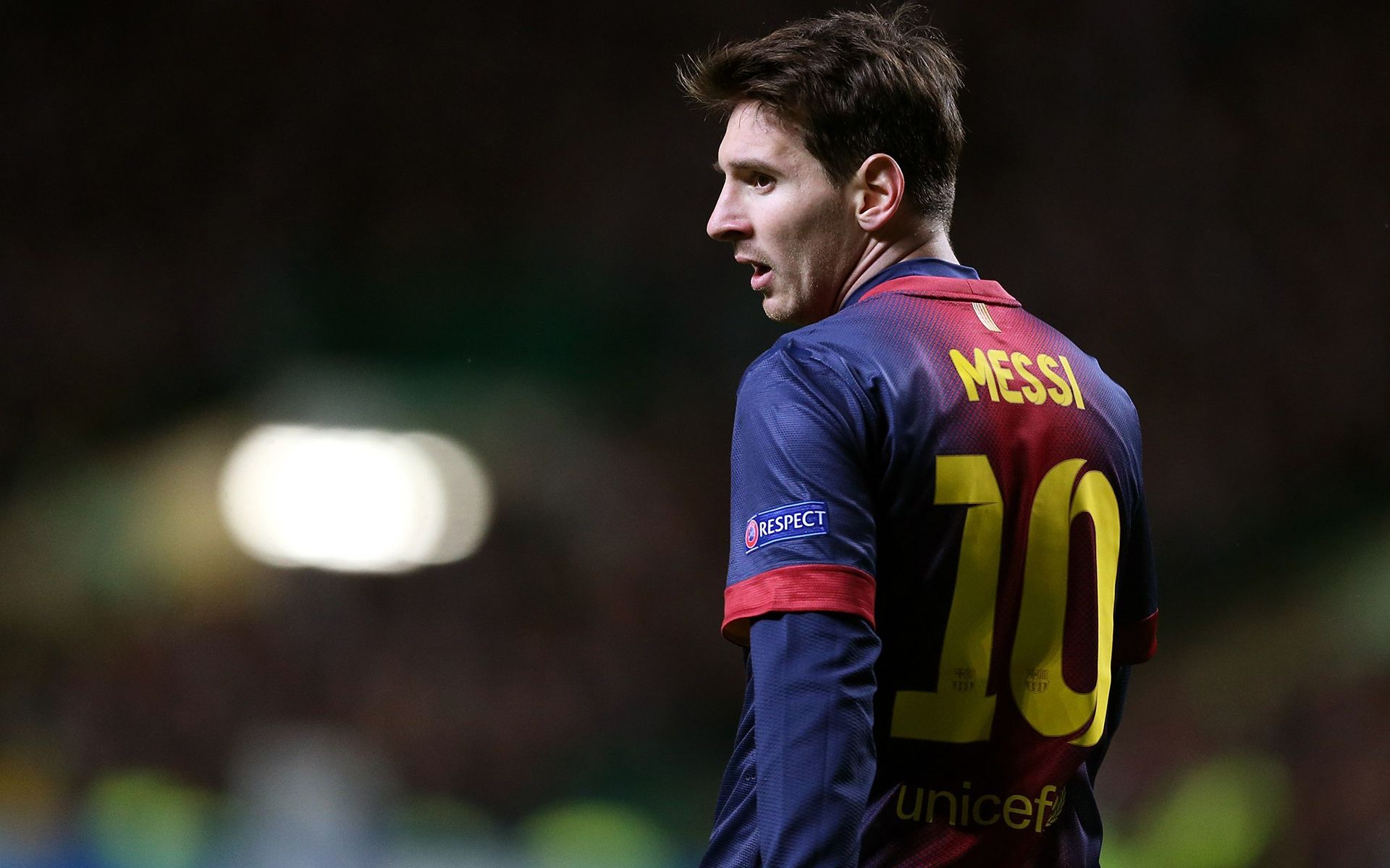 这一事实说 这一事实说