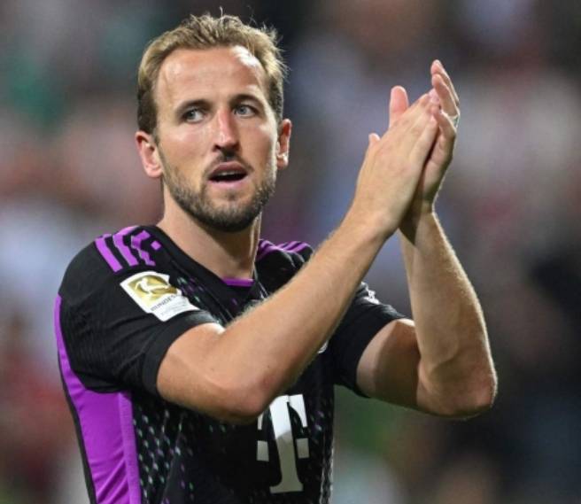 展示了他卓 展示了他卓