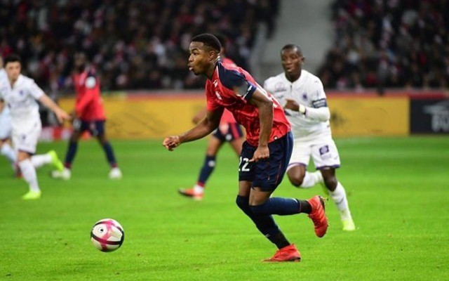 在某些大都 在某些大都