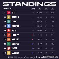 传统的松子 传统的松子